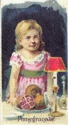 1989 Allen & Ginter Fruits (N12) (reprint) Base