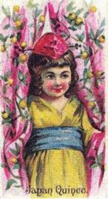 1989 Allen & Ginter Fruits (N12) (reprint) Base