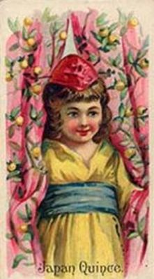 1891 Allen & Ginter Fruits (N12) Base