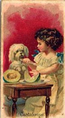 1891 Allen & Ginter Fruits (N12) Base