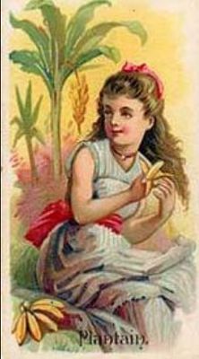 1891 Allen & Ginter Fruits (N12) Base