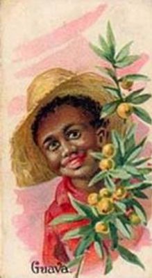 1891 Allen & Ginter Fruits (N12) Base