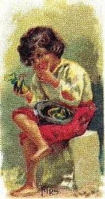 1989 Allen & Ginter Fruits (N12) (reprint) Base