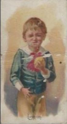 1891 Allen & Ginter Fruits (N12) Base