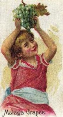 1989 Allen & Ginter Fruits (N12) (reprint) Base