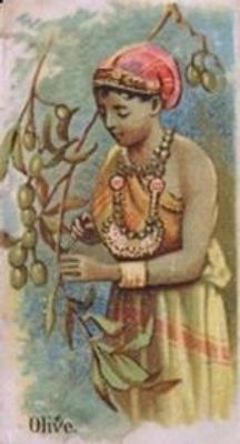 1891 Allen & Ginter Fruits (N12) Base