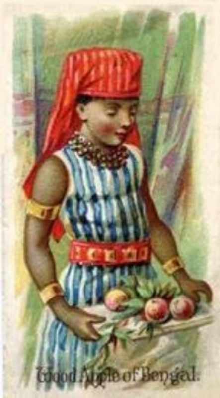 1891 Allen & Ginter Fruits (N12) Base