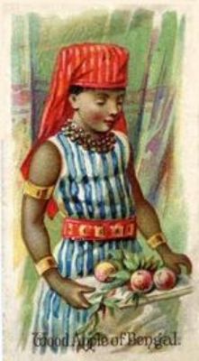 1891 Allen & Ginter Fruits (N12) Base