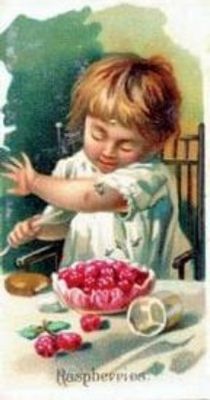 1891 Allen & Ginter Fruits (N12) Base