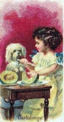 1989 Allen & Ginter Fruits (N12) (reprint) Base