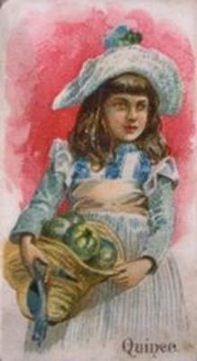 1891 Allen & Ginter Fruits (N12) Base