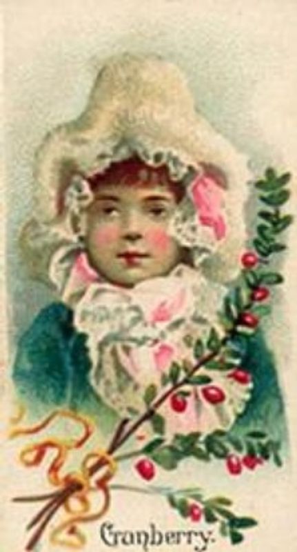 1891 Allen & Ginter Fruits (N12) Base