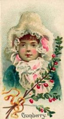 1891 Allen & Ginter Fruits (N12) Base