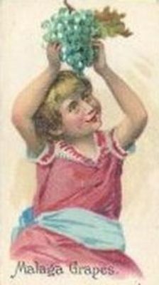 1891 Allen & Ginter Fruits (N12) Base