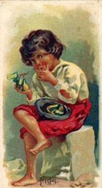 1891 Allen & Ginter Fruits (N12) Base