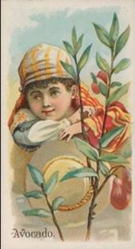 1891 Allen & Ginter Fruits (N12) Base