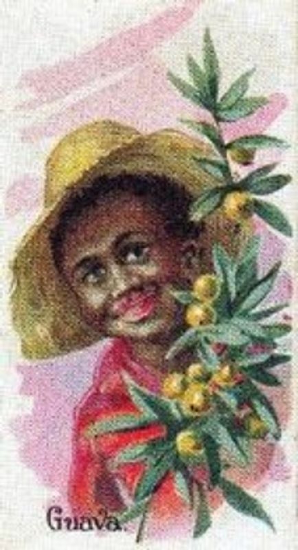 1989 Allen & Ginter Fruits (N12) (reprint) Base