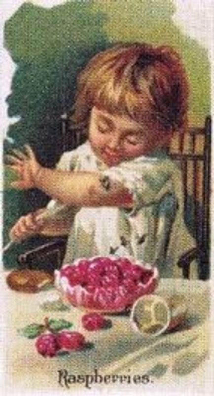 1989 Allen & Ginter Fruits (N12) (reprint) Base