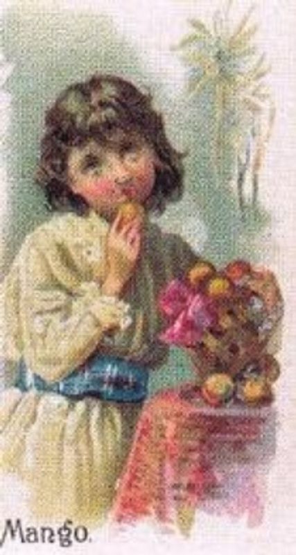 1989 Allen & Ginter Fruits (N12) (reprint) Base