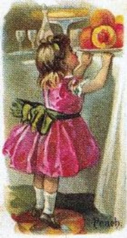 1989 Allen & Ginter Fruits (N12) (reprint) Base