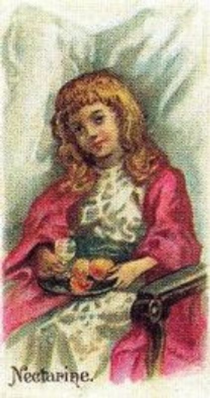 1989 Allen & Ginter Fruits (N12) (reprint) Base