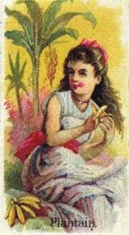 1989 Allen & Ginter Fruits (N12) (reprint) Base