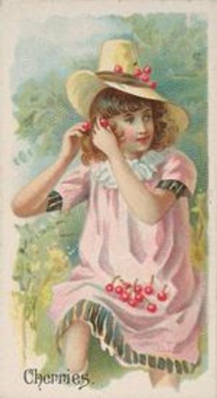 1891 Allen & Ginter Fruits (N12) Base