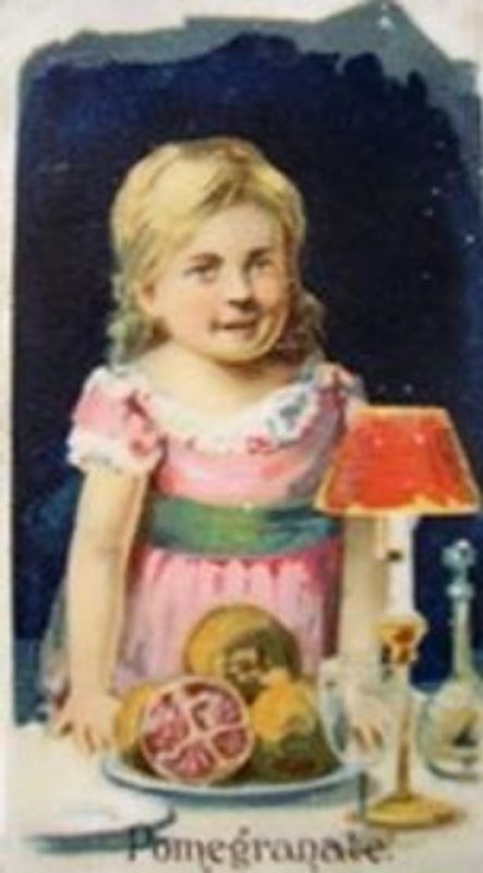 1891 Allen & Ginter Fruits (N12) Base