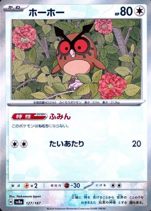 Hoothoot 2024 Japanese Scarlet & Violet: Terastal Fest ex #127/187 Base RAW TCG (LIGHTLY PLAYED)