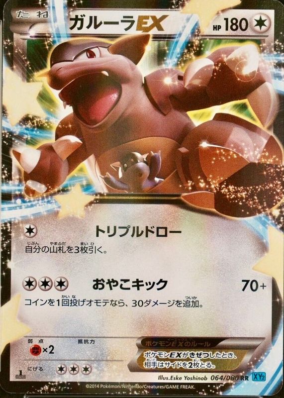 2014 Japanese XY: Wild Blaze #064/080 1st Edition Holo