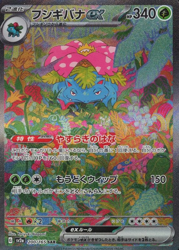 Venusaur EX 2023 Japanese Scarlet & Violet: 151 #200/165 Special Art Rare BGS 10 BLACK LABEL