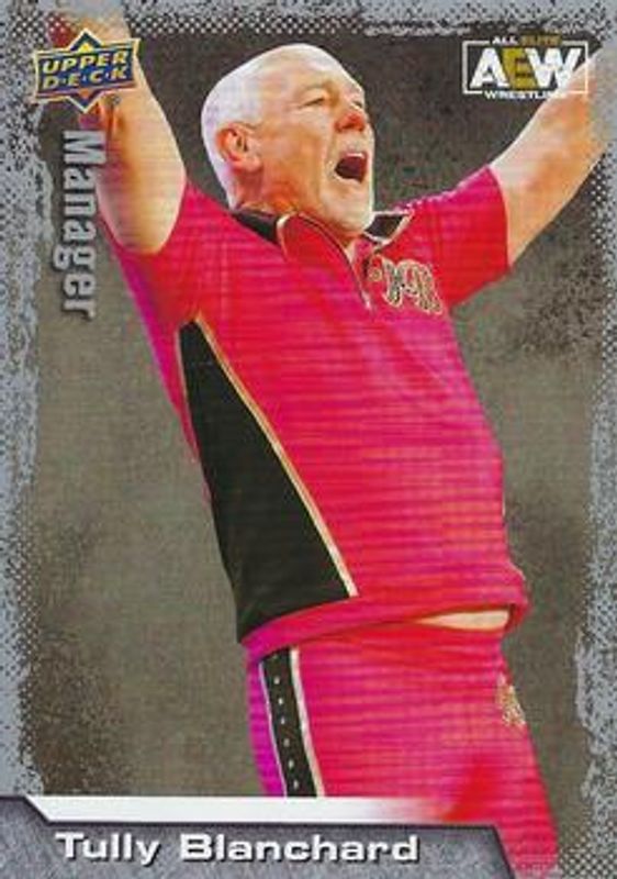 2022 Upper Deck AEW #97 Base