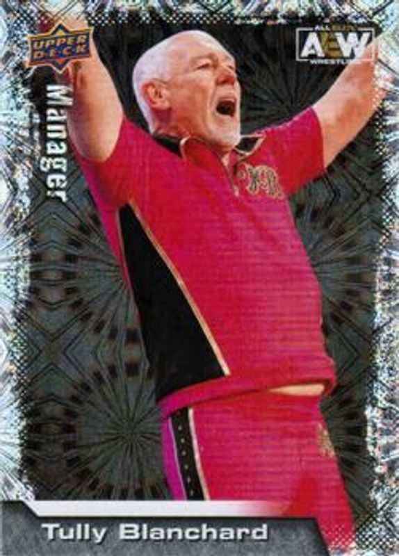 2022 Upper Deck AEW #97 Pyro