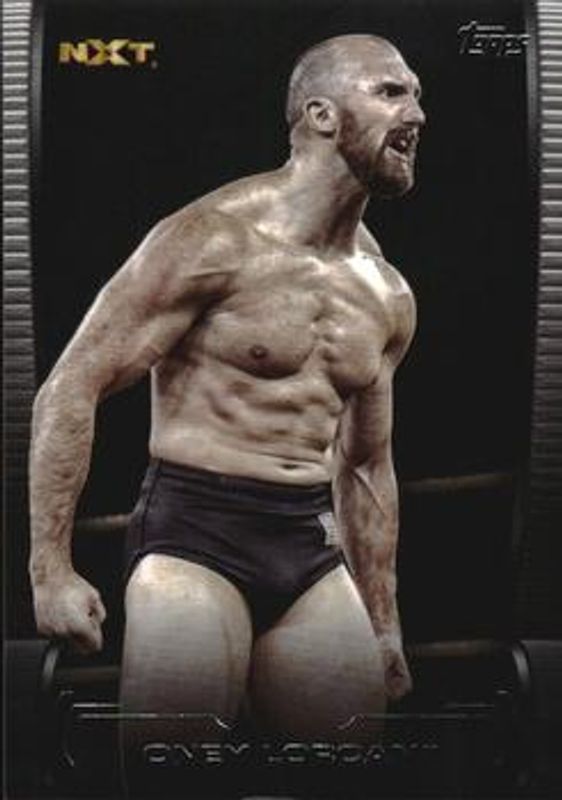 2021 Topps WWE Undisputed #62 Base