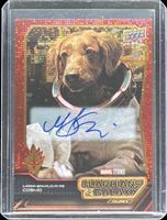 Shop this card on ebay_jobs