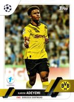 Shop this card on ebay_jobs