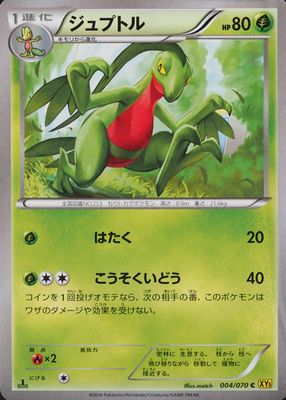 2014 Japanese XY: Gaia Volcano #004/070 1st Edition