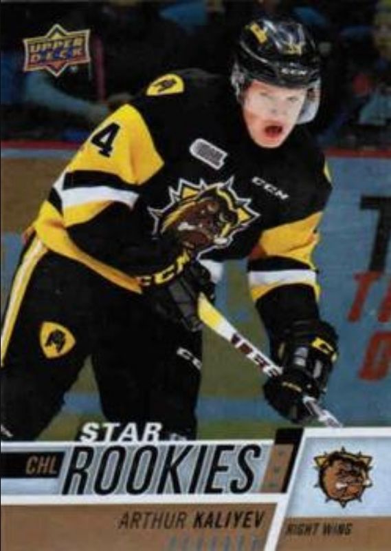 2017 Upper Deck CHL #379 Rainbow