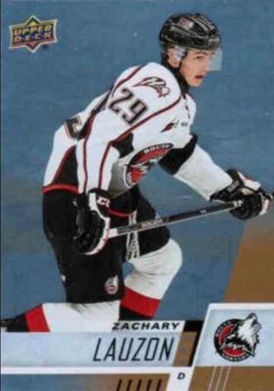 2017 Upper Deck CHL #66 Rainbow