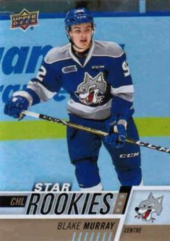 2017 Upper Deck CHL #310 Rainbow