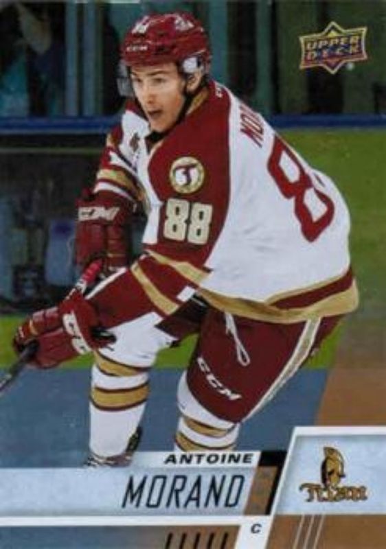 2017 Upper Deck CHL #160 Rainbow