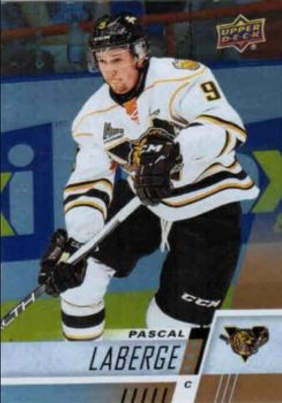 2017 Upper Deck CHL #195 Rainbow