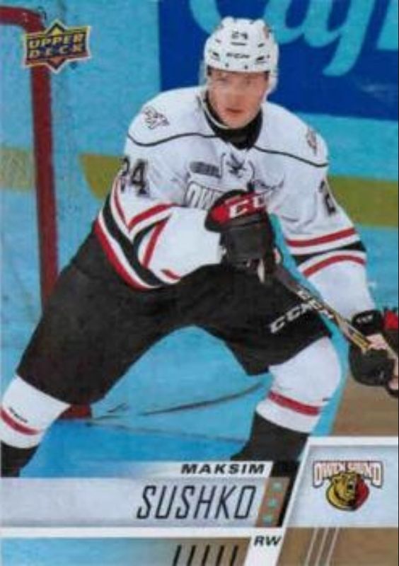2017 Upper Deck CHL #262 Rainbow
