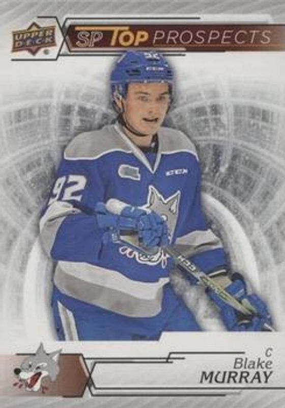 2018 Upper Deck CHL #SP11 SP Top Prospects