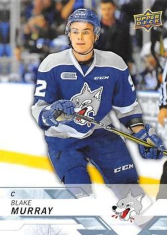 2018 Upper Deck CHL #79 Base