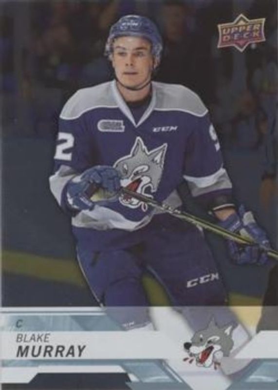 2018 Upper Deck CHL #79 Silver