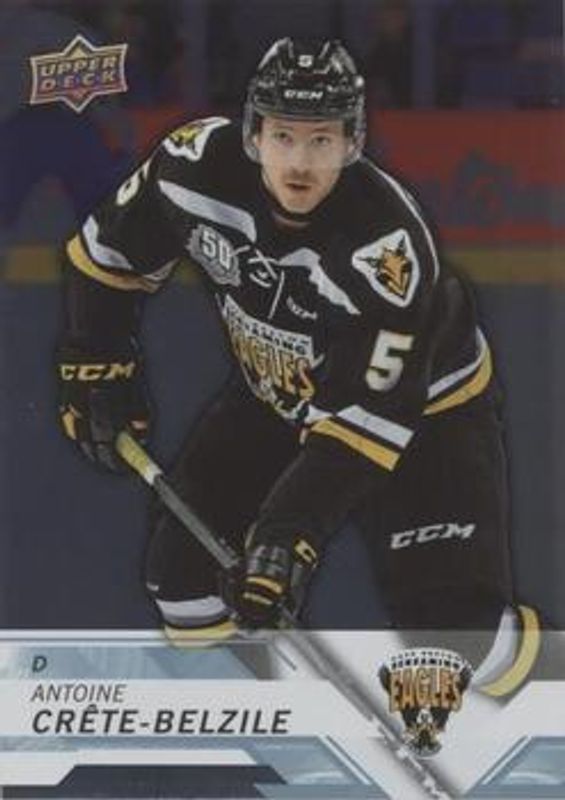 2018 Upper Deck CHL #238 Silver