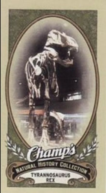 2009 Upper Deck Champ's #429 Base