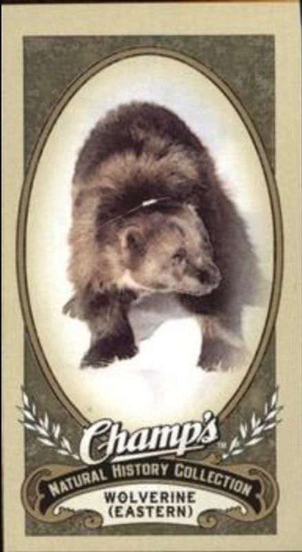 2009 Upper Deck Champ's #481 Base