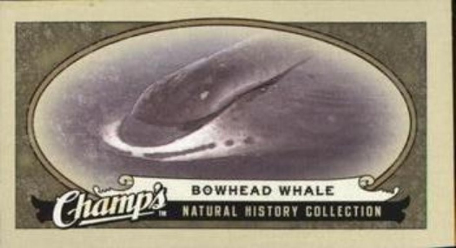 2009 Upper Deck Champ's #478 Base